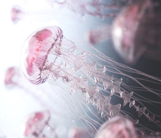 學習CAD！每天五個小技巧！這個系列趕快收藏！